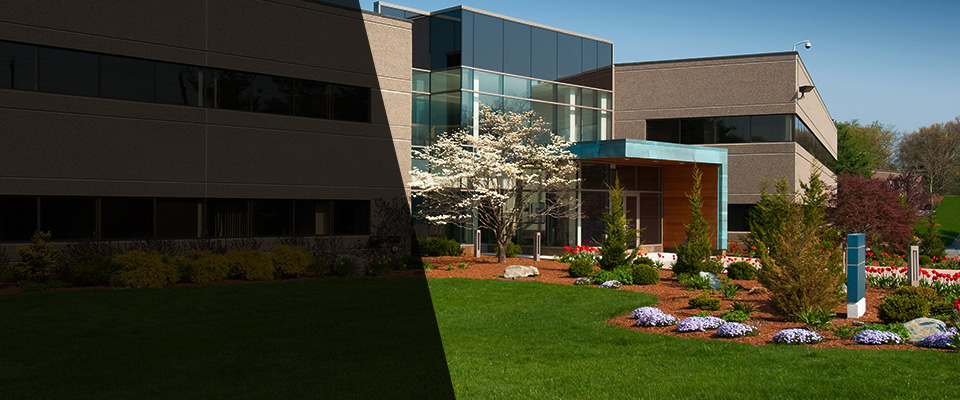 San Ramon Landscapers