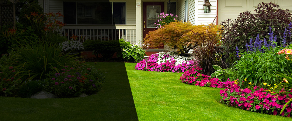 San Ramon Landscapers