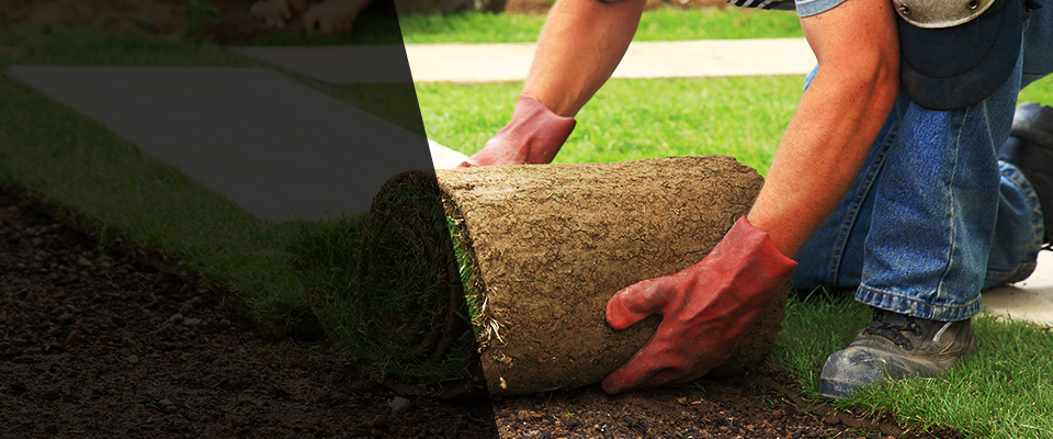 San Ramon Landscapers